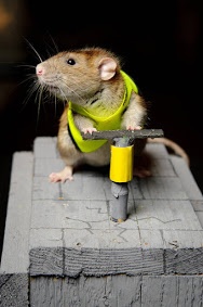 Fuel Rats Knowledge Base > Philosophy of Dispatch > 1918089_orig.jpg